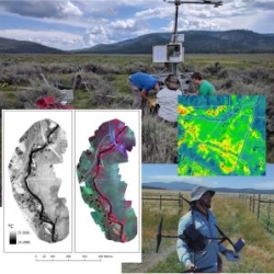 Greenhouse Gas Benefit Monitoring at the Clover Valley Ranch Meadow Restoration Project