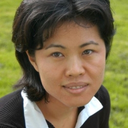Professor XiaoHang Liu Headshot